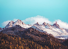 《纪念碑谷3》将迎来免费DLC更新“生命花园”